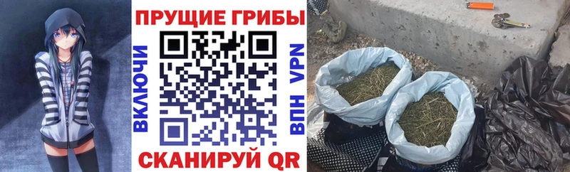 Галлюциногенные грибы мицелий  продажа наркотиков  Краснодар 